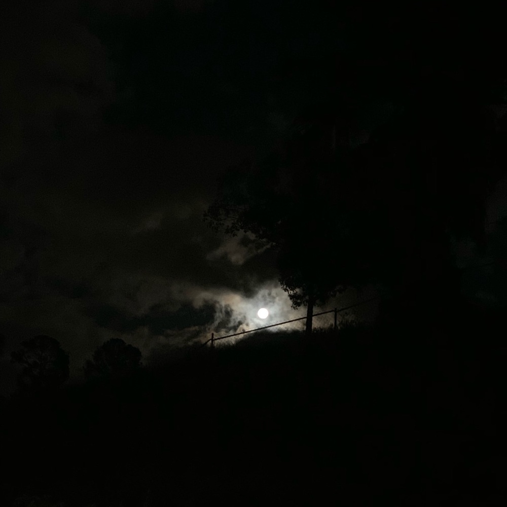 Meet your Posher, Camille